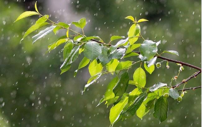 Итоги дня: 28 мая