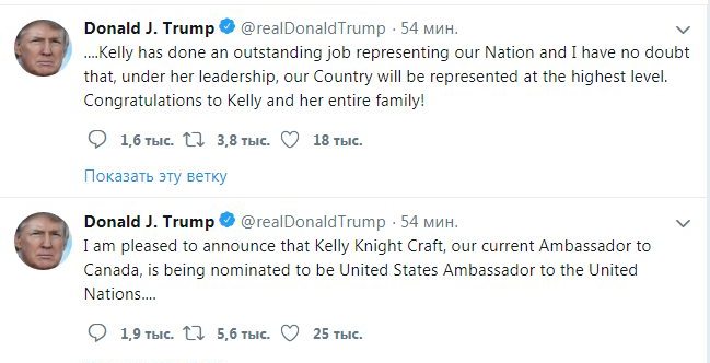 Трамп назвав нову кандидатуру постпреда США при ООН