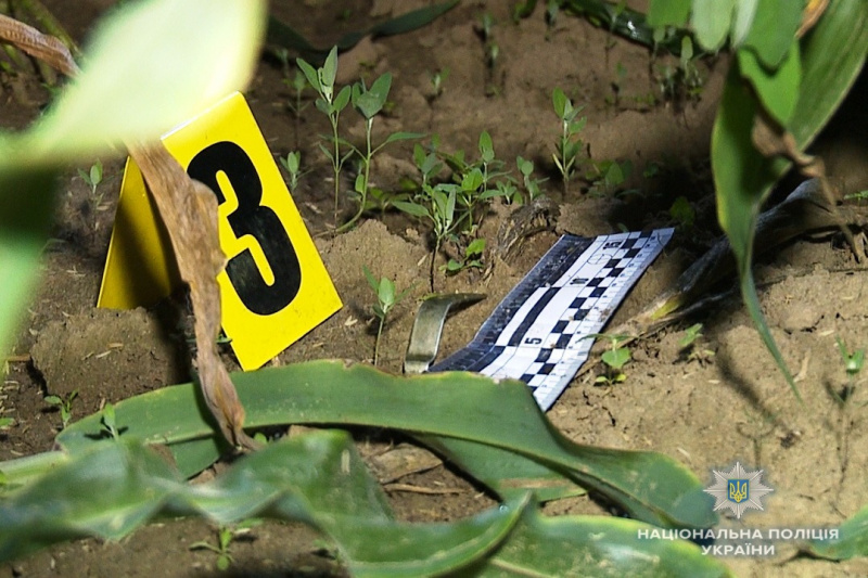 В Винницкой области в результате взрыва гранты ранен полицейский