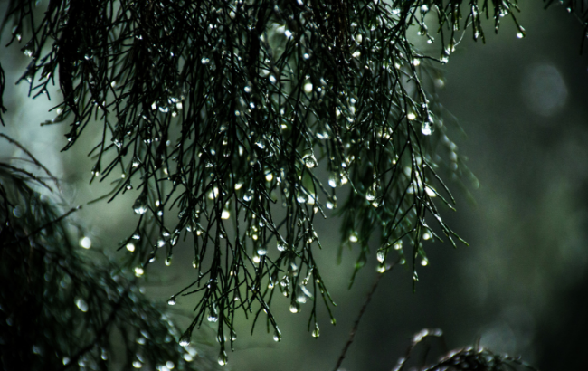 Погода стане ще гірше: синоптики засмутили прогнозом