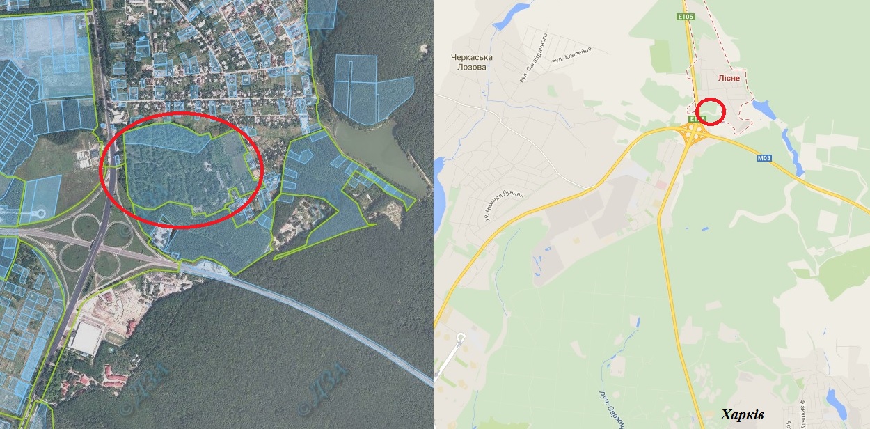 НАБУ расследует покупку леса фирмой семьи Авакова