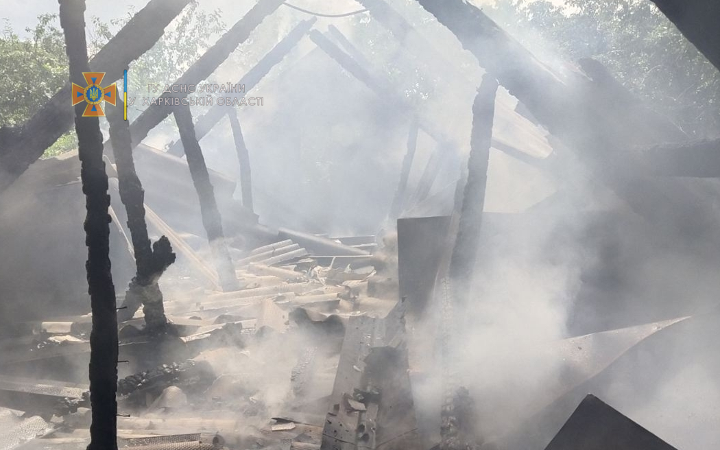 Под Харьковом молния угодила в дом: он мгновенно вспыхнул