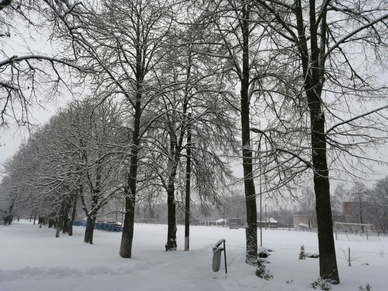 В Украину пришла сказочная зима: на фото попали невероятные пейзажи