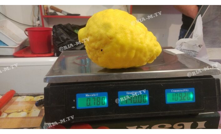 Под Запорожьем фермеры выращивают гигантские лимоны (фото)