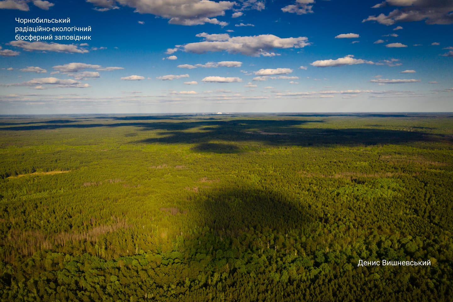 Чернобыль оживает после пожаров: новые фантастические снимки