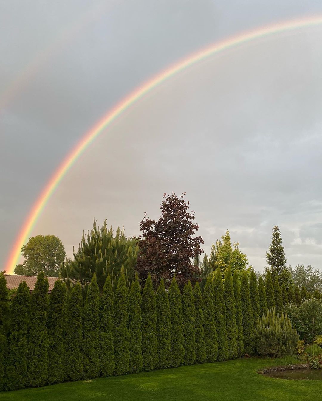 Радуга вдохновляет: Горбунов очаровал нежным фото в обнимку с Осадчей