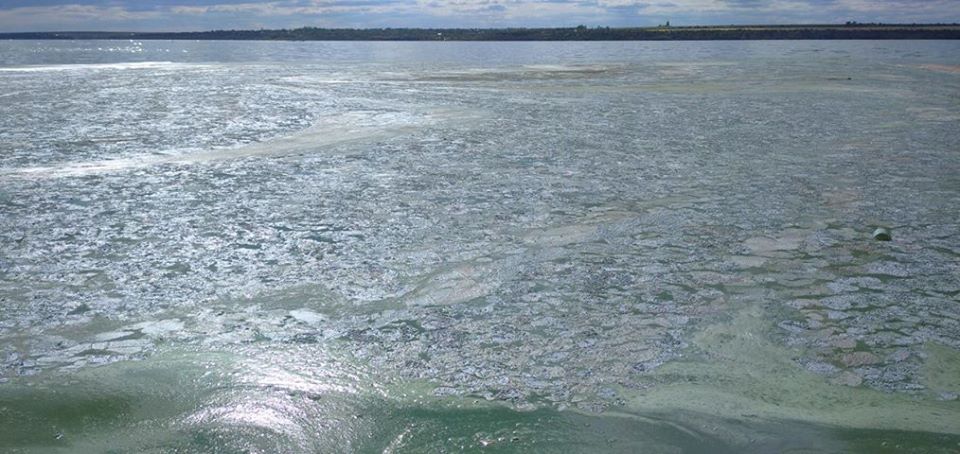 В Николаеве вода на пляже превратилась в зеленую жижу: что происходит