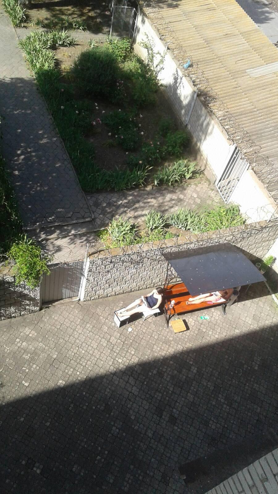 Вместо работы загорает на солнце: в сети появились фото Зайцевой за решеткой