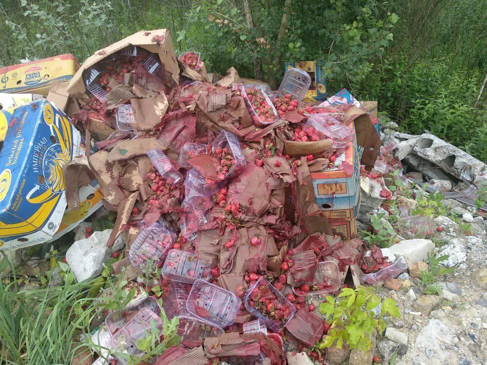 В Киеве зеленную зону превратили в свалку мусора