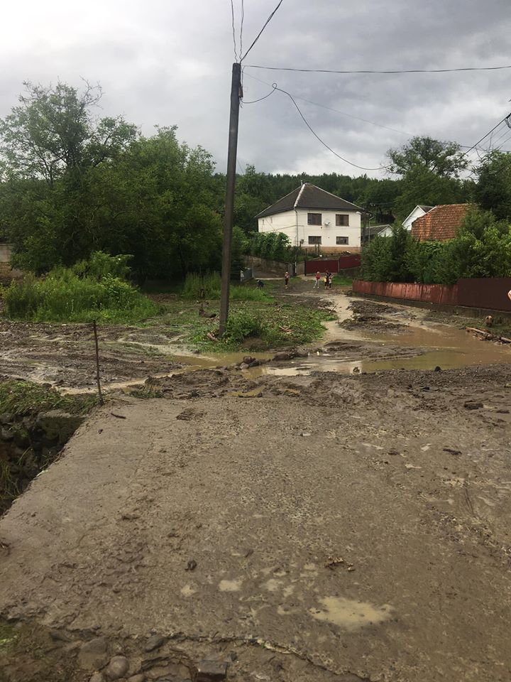 Люди спасались через окна: последствия ночного паводка на Закарпатье показали на фото