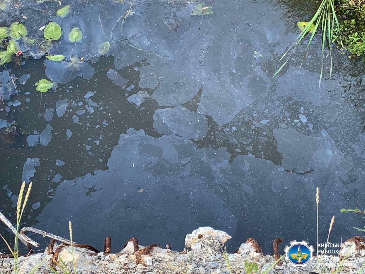 Под Киевом случилась экокатастрофа: ужасный запах стоит повсюду (фото)