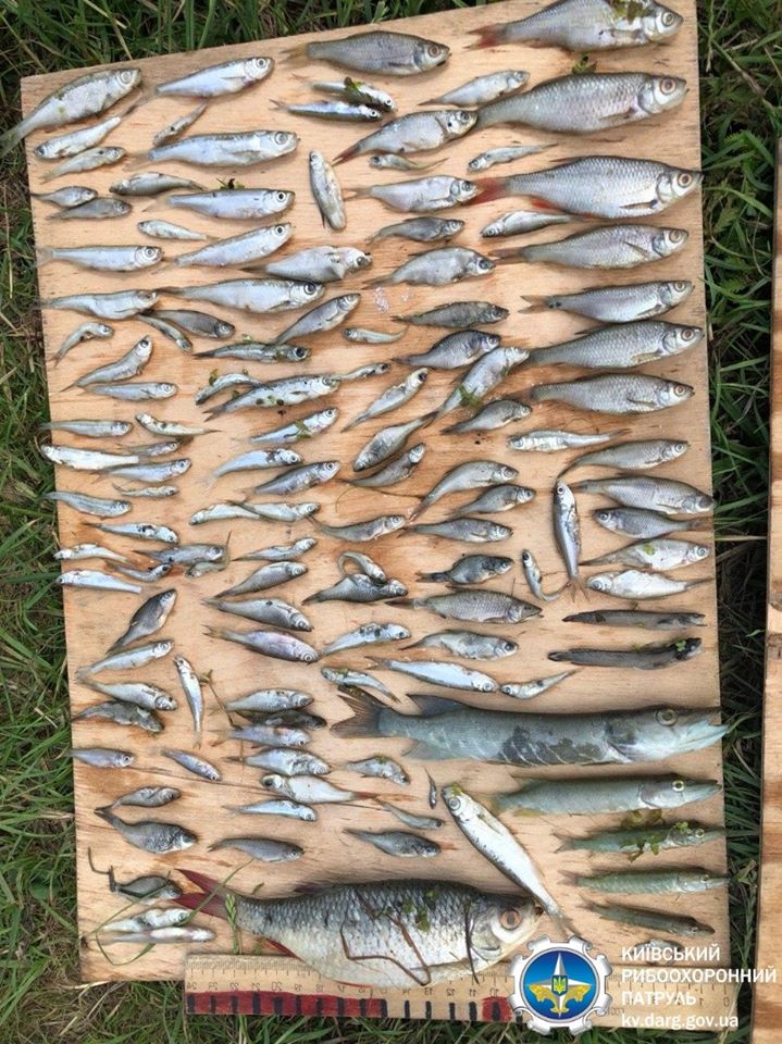 Под Киевом случилась экокатастрофа: ужасный запах стоит повсюду (фото)