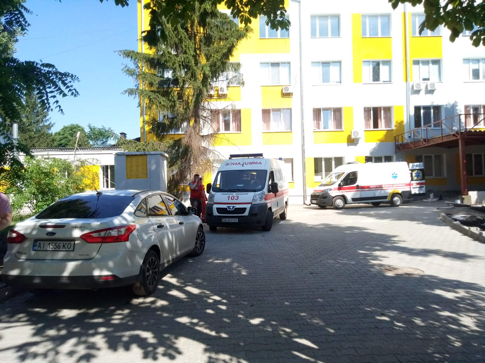 Под Киевом ребенка укусила неизвестная ядовитая змея