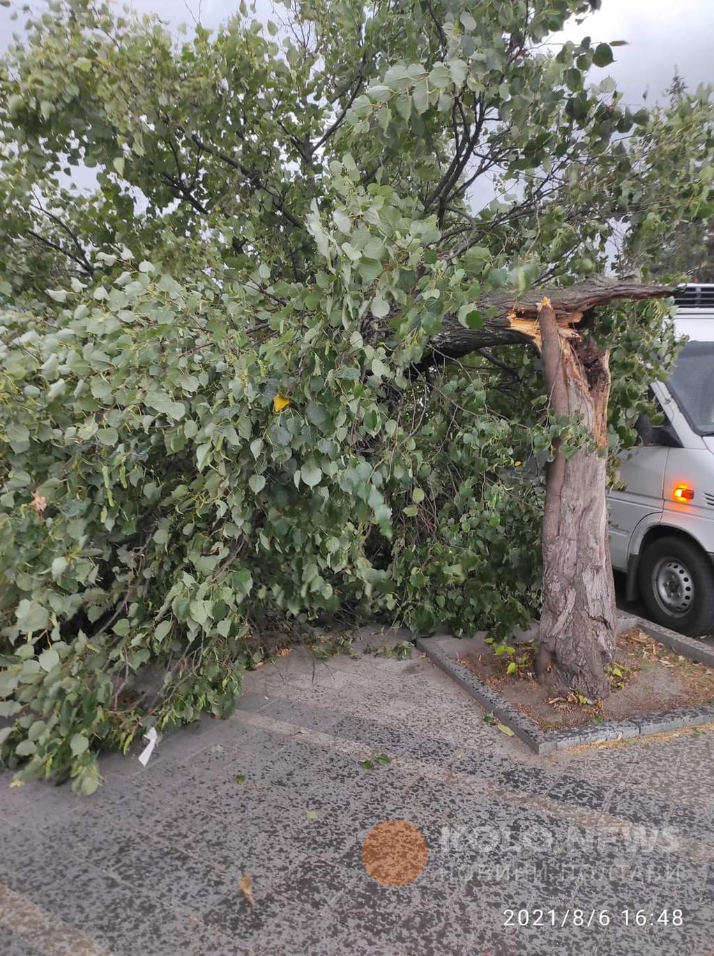 Ураган под Полтавой срывал крыши и деревья, пробивал ветвями авто и погрузил область во тьму
