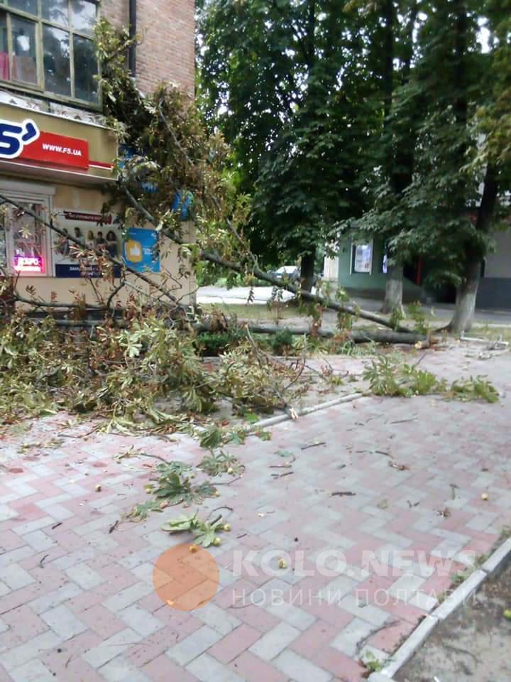 Ураган под Полтавой срывал крыши и деревья, пробивал ветвями авто и погрузил область во тьму