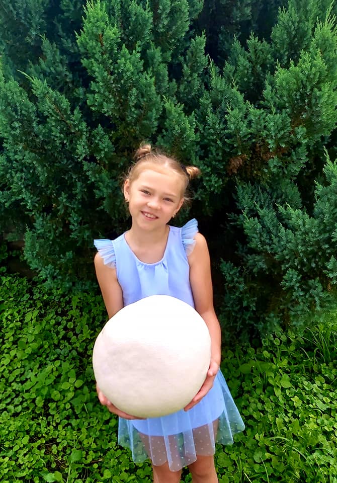 В Украине нашли гигантский гриб: больше футбольного мяча