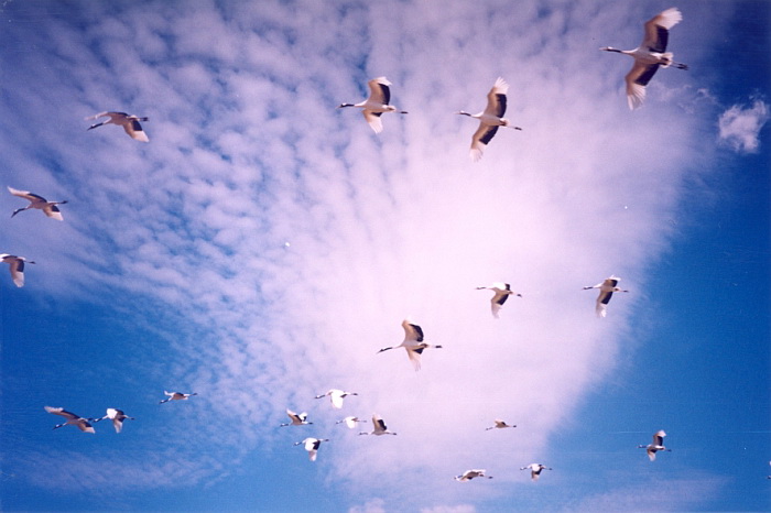 1 октября: какой сегодня праздник и что категорически нельзя делать