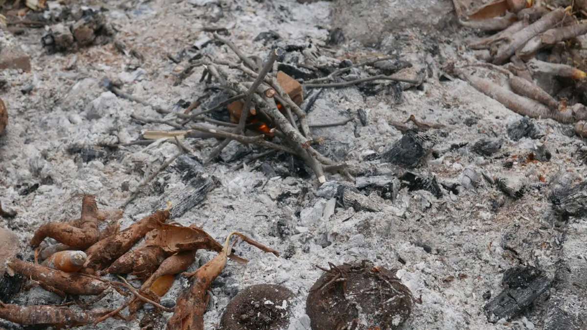 Археологи разгадали тайну 300-тысячелетней консервации: еда точно не испортится