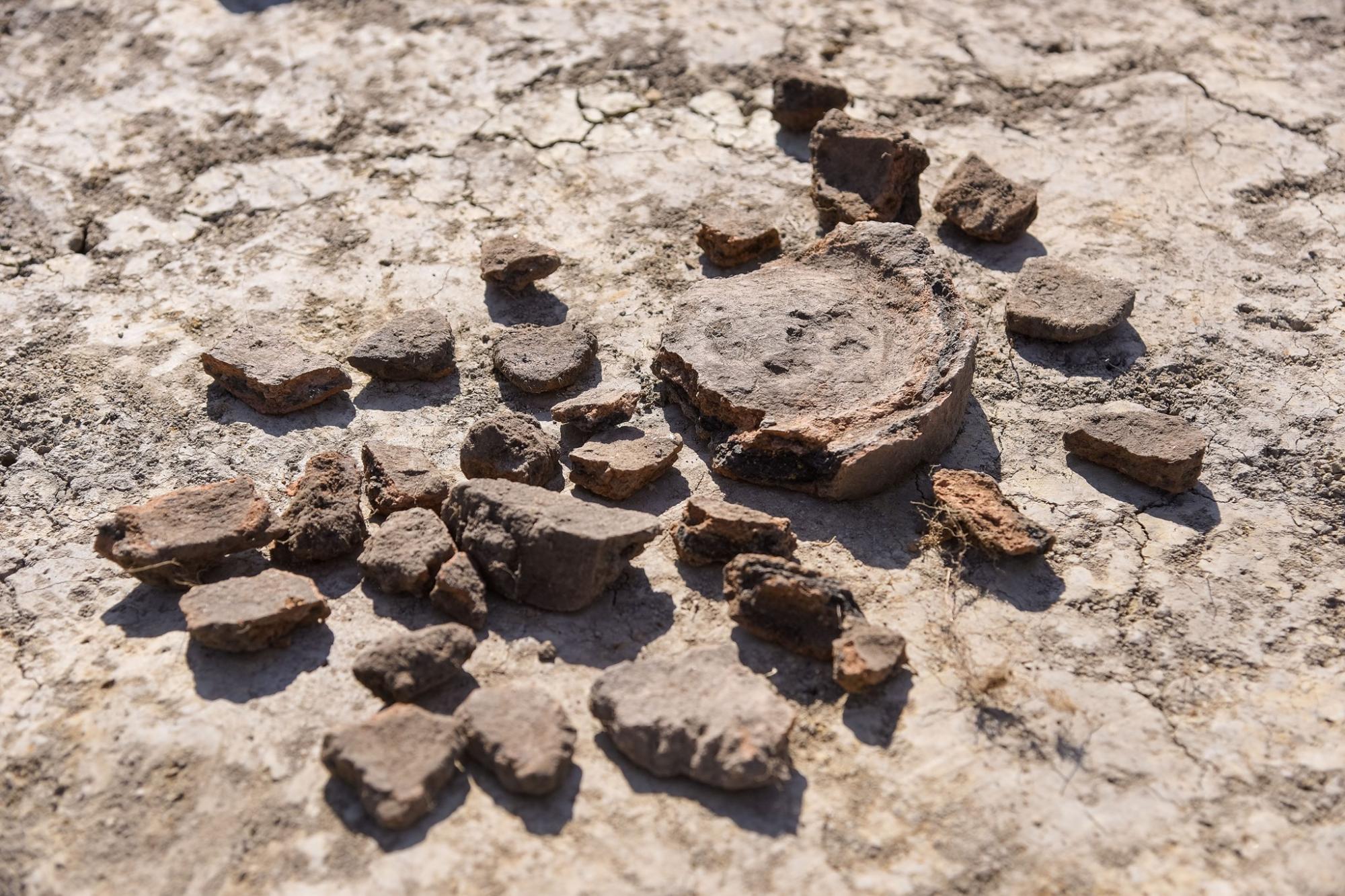 Под Львовом нашли поселение древнейшей культуры: артефактам больше 7 тысяч лет