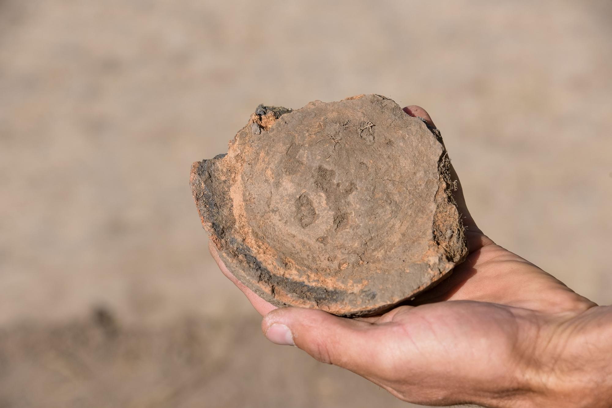 Под Львовом нашли поселение древнейшей культуры: артефактам больше 7 тысяч лет