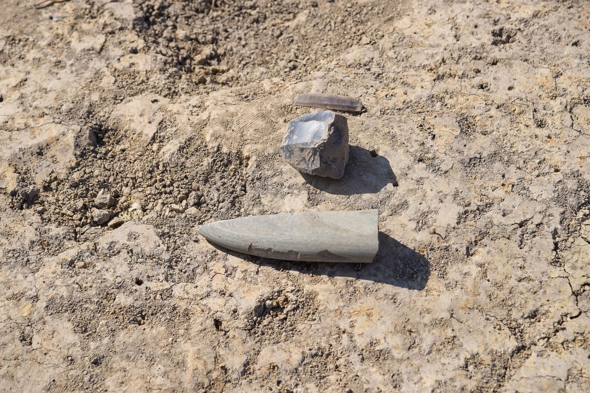 Под Львовом нашли поселение древнейшей культуры: артефактам больше 7 тысяч лет