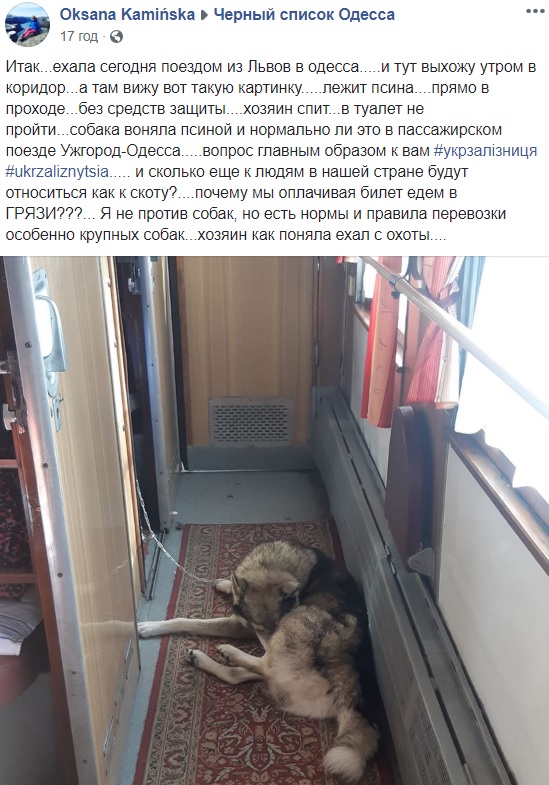 Отношение как к скоту: Укрзализныця угодила в новый скандал (фото)