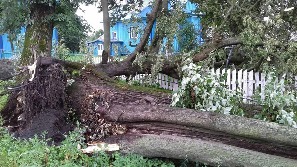 Поваленные деревья и затопленные улицы: под Ровно разбушевалась непогода
