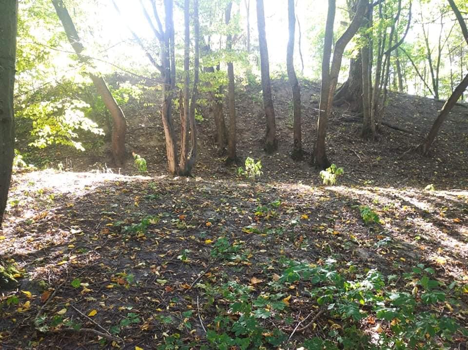 Под Житомиром нашли тайный город времен Киевской Руси