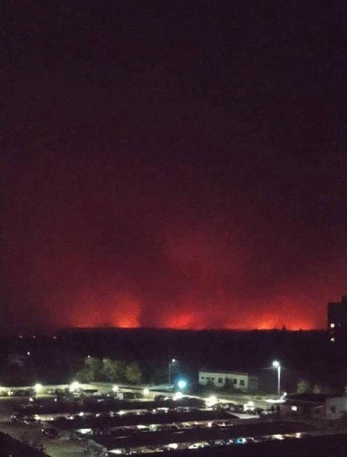 В Луганской области горят леса: фото чудовищной беды