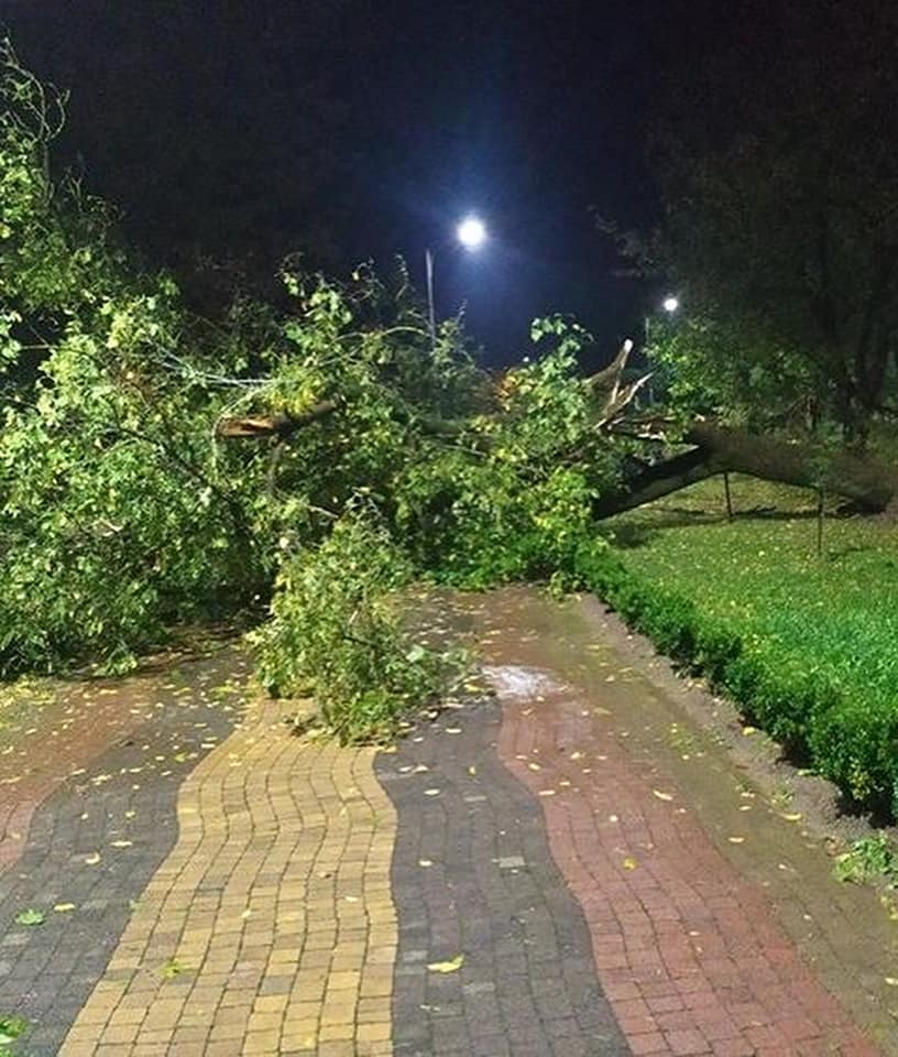 В Карпатах город превратился в Венецию: казалось, это конец света