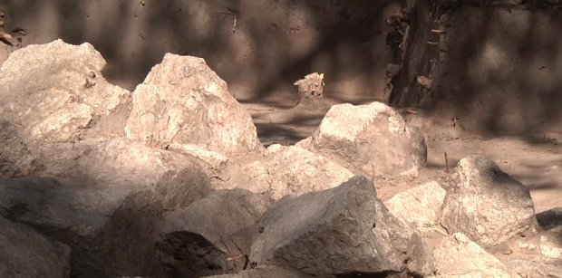 Украинские археологи обнаружили сенсационную находку на Хортице (фото)