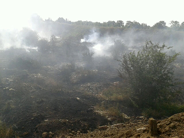 Пожежу на звалищі у Миколаєві ліквідували