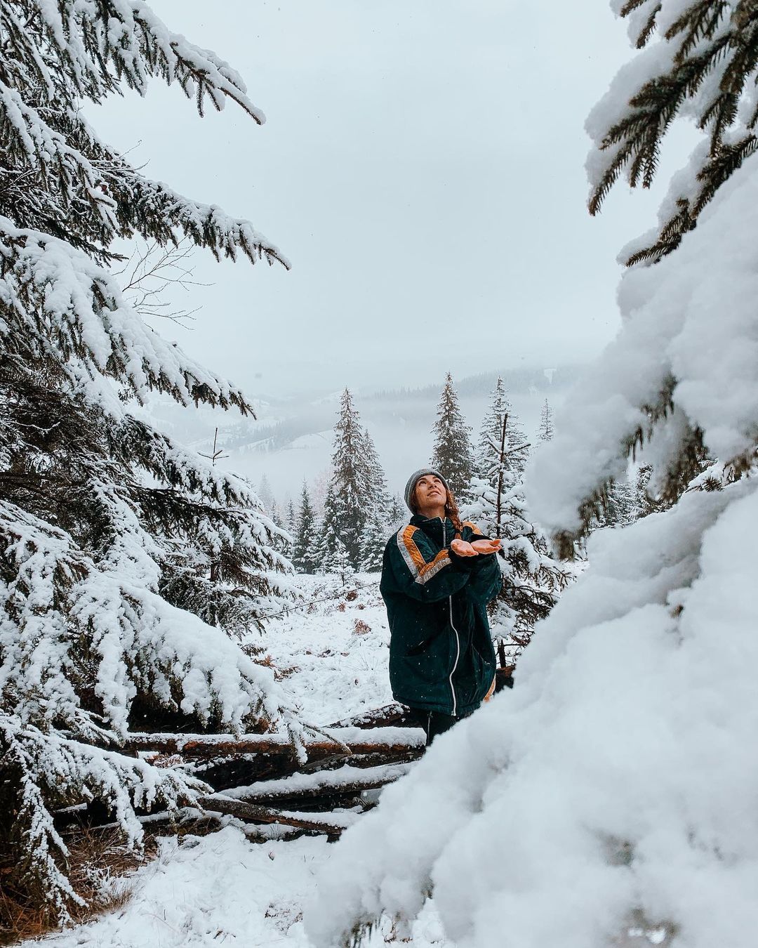 Дары ноября: Западную Украину накрывает снегопад (фото, видео)