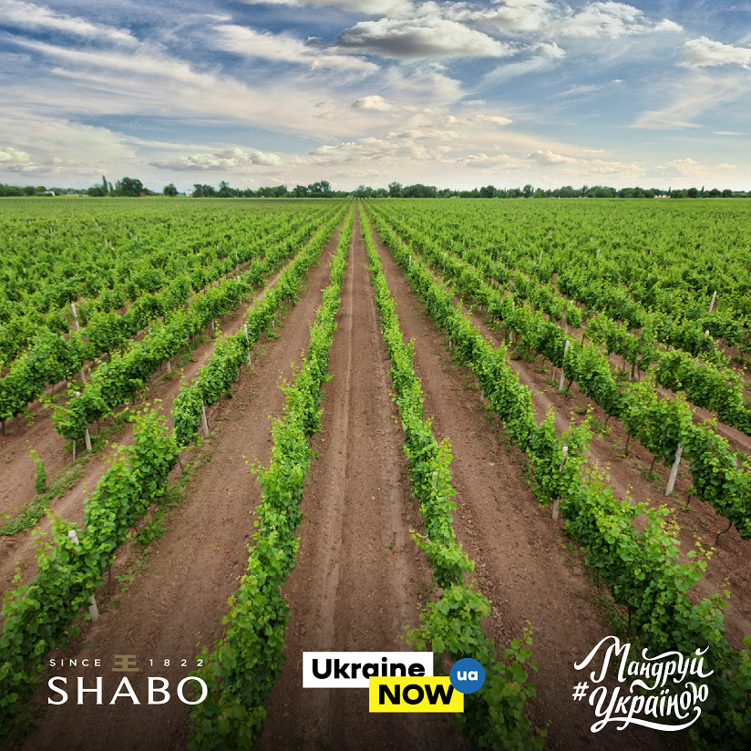 Бренд UkraineNow просить про допомогу підприємців