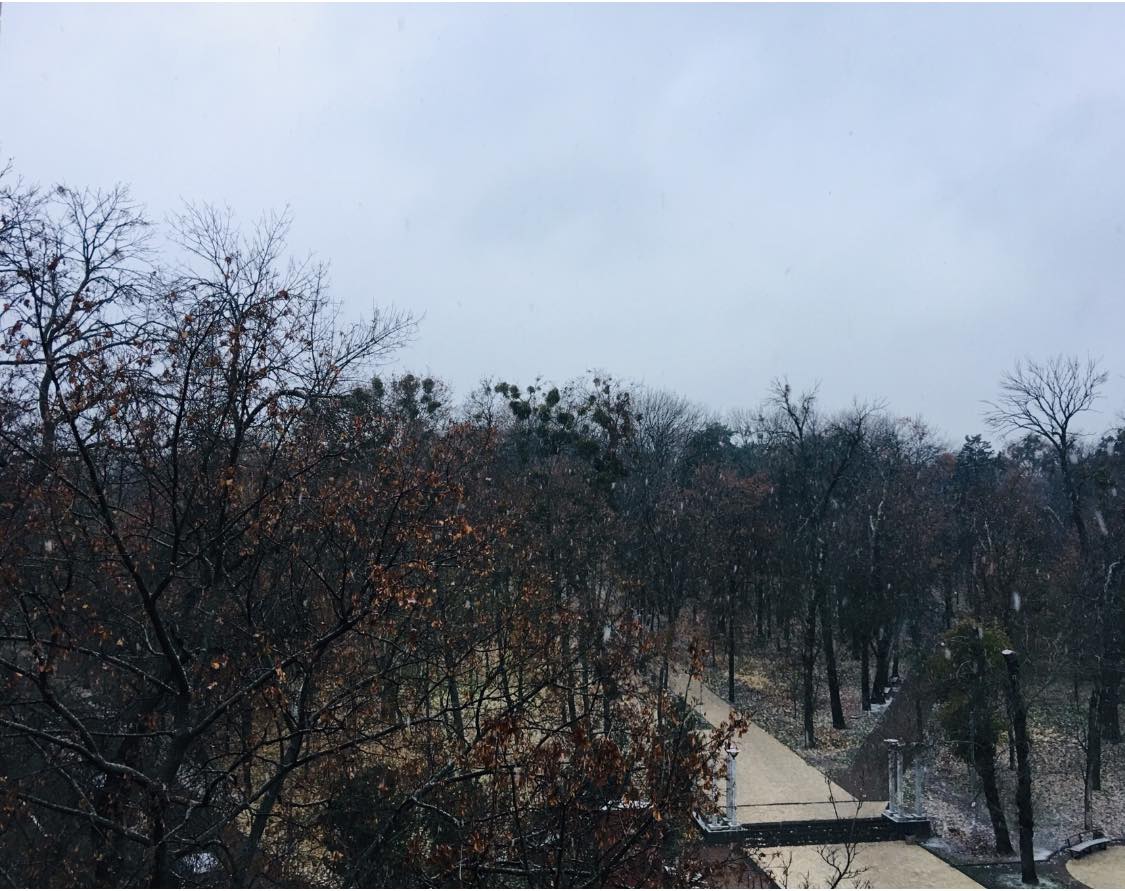 В Киеве выпал первый снег: фото и видео запорошенной столицы