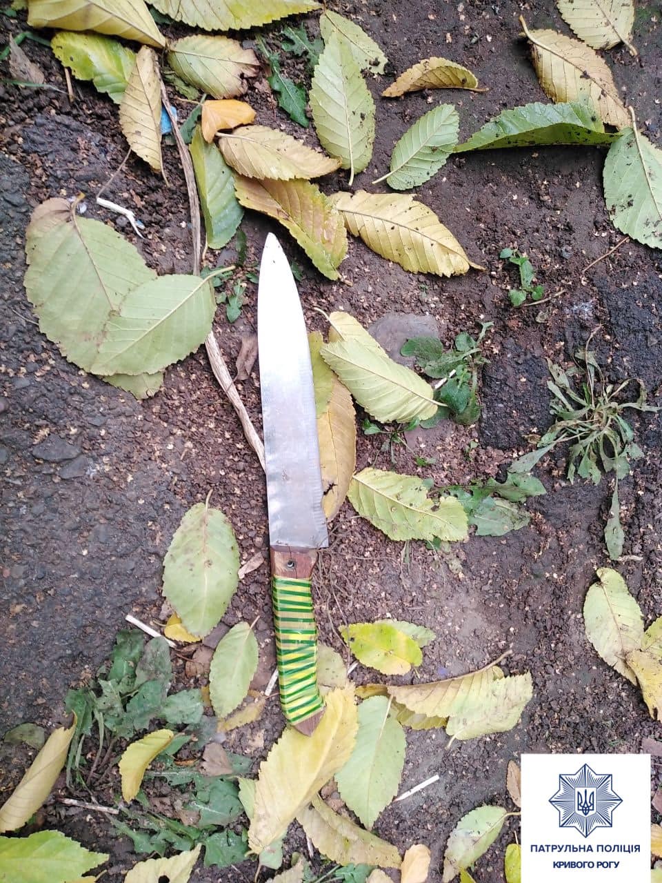 Бегал с ножом и пугал людей: в Кривом Роге поймали еще одного "резателя" (фото)