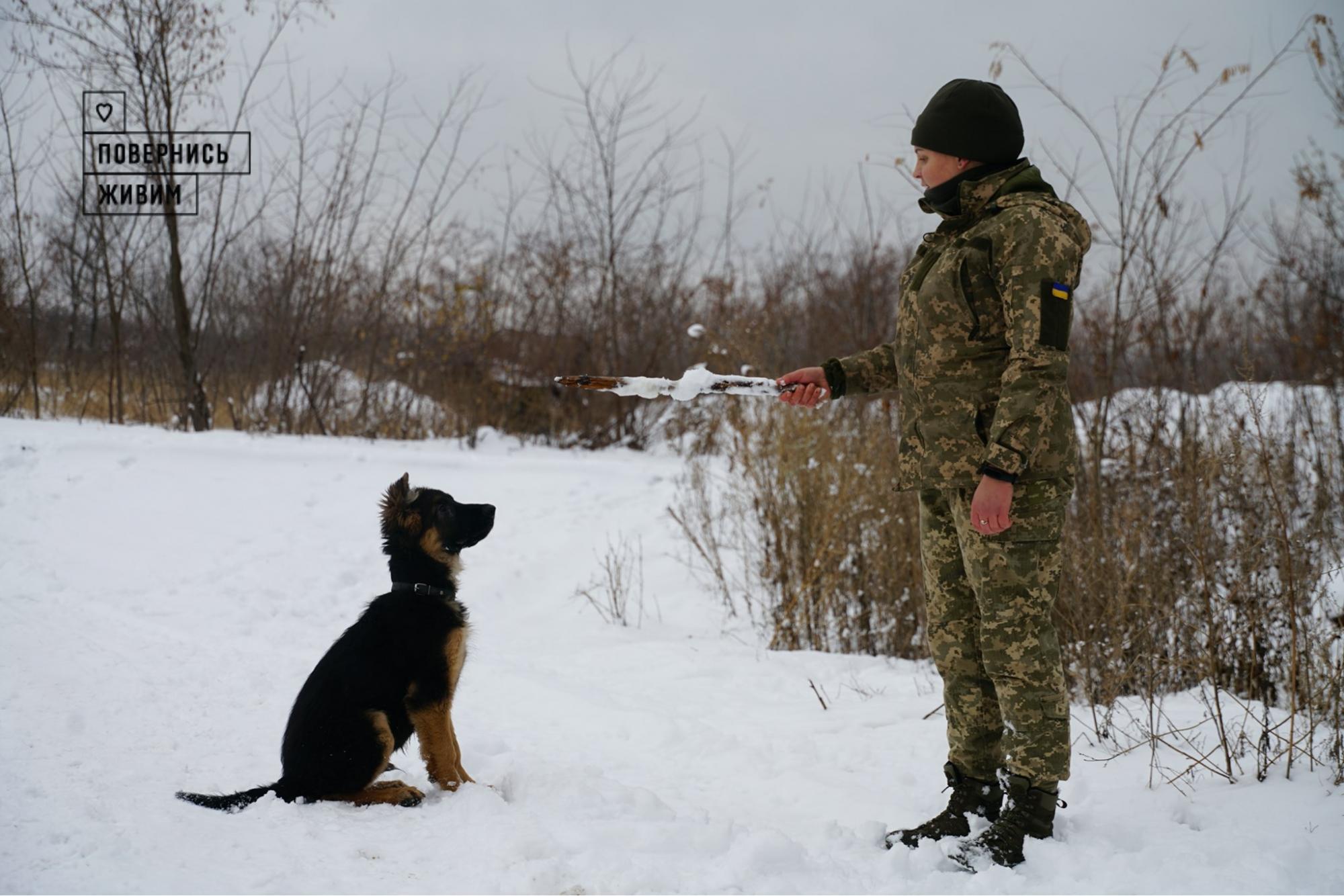 Українців захопила історія про медика ЗСУ, яка врятувала п'ятьох військових на Донбасі