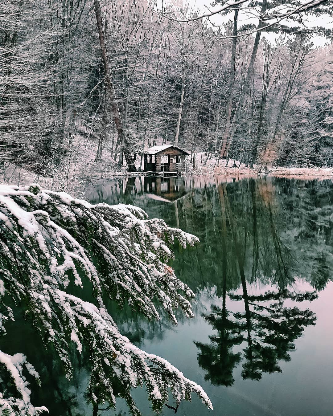 В Крым пришла настоящая зима: от красоты захватывает дух (фото, видео)