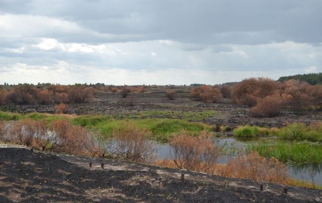 Новости Украины за 19 июля: отказ ДНР в обмене пленных и повторный конкурс по ОПЗ