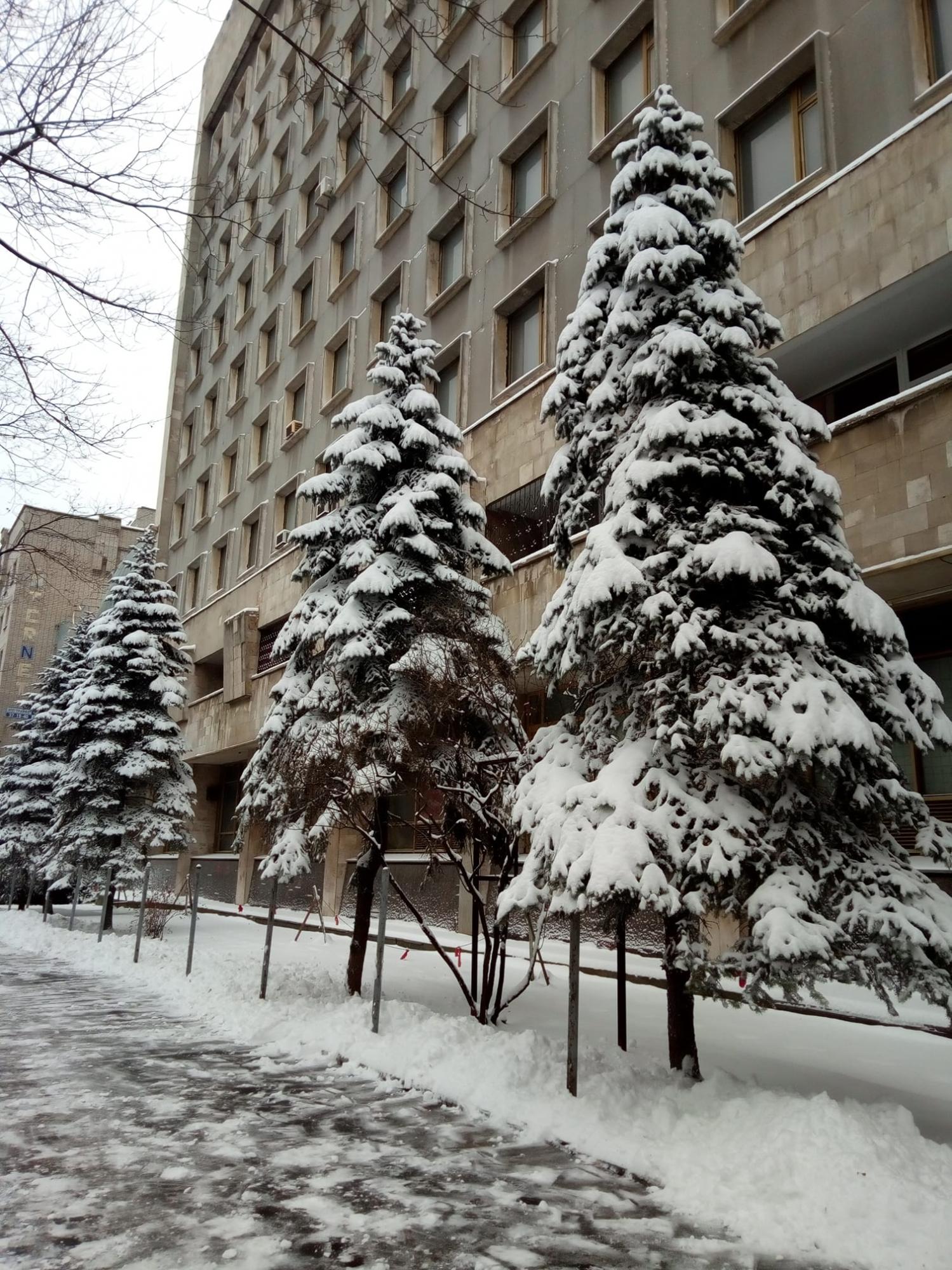 У Дніпро на Старий Новий рік прийшла справжня зима: снігові бархани і "пастки" на дорогах (відео та фото)