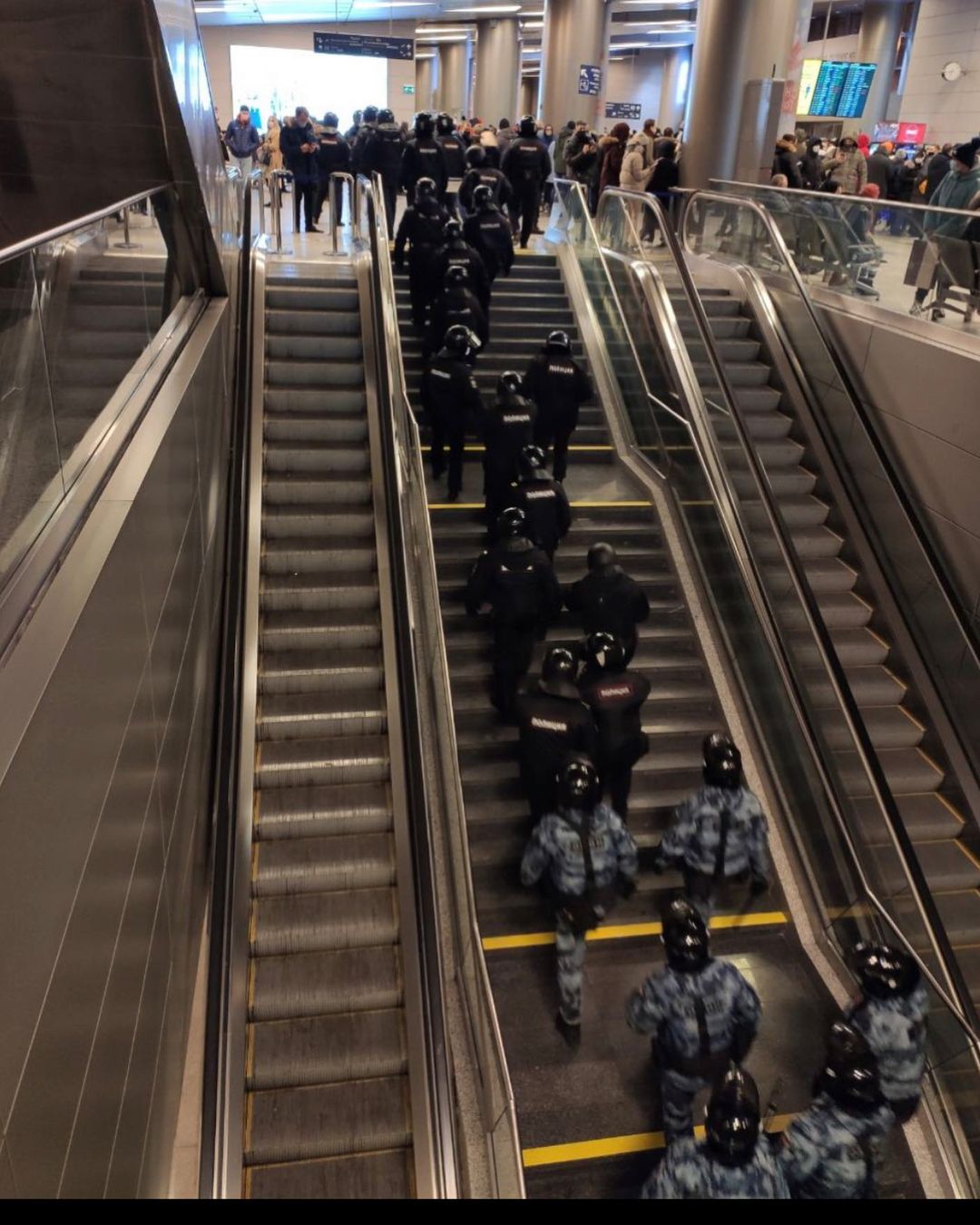 Навальный прилетел в Россию: в аэропорту ажиотаж