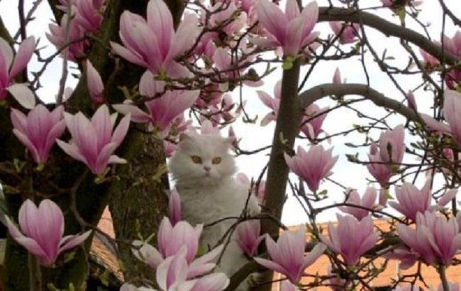 Підсумки дня: 31 березня