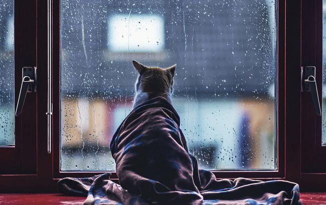 Підсумки дня: 6 квітня