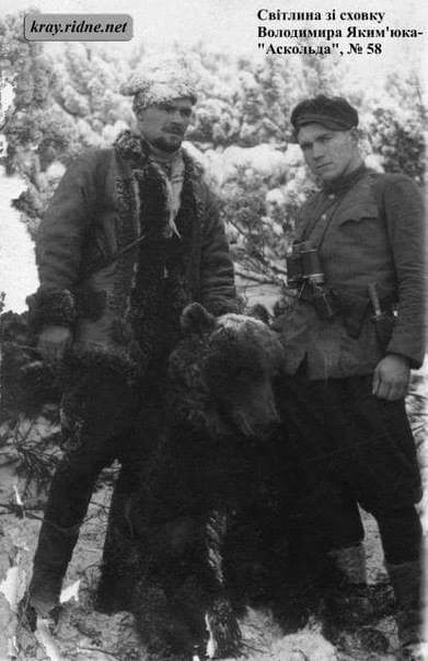 Спас медвежонка от российских оккупантов: сеть поразила история про украинского бойца (фото)