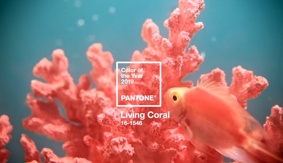 Pantone назвав головний колір 2019 року