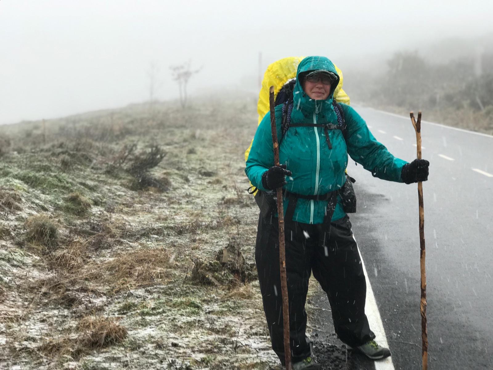 Онкобольная британка три года шла пешком от Киева до Уэльса: путешествие показала на фото