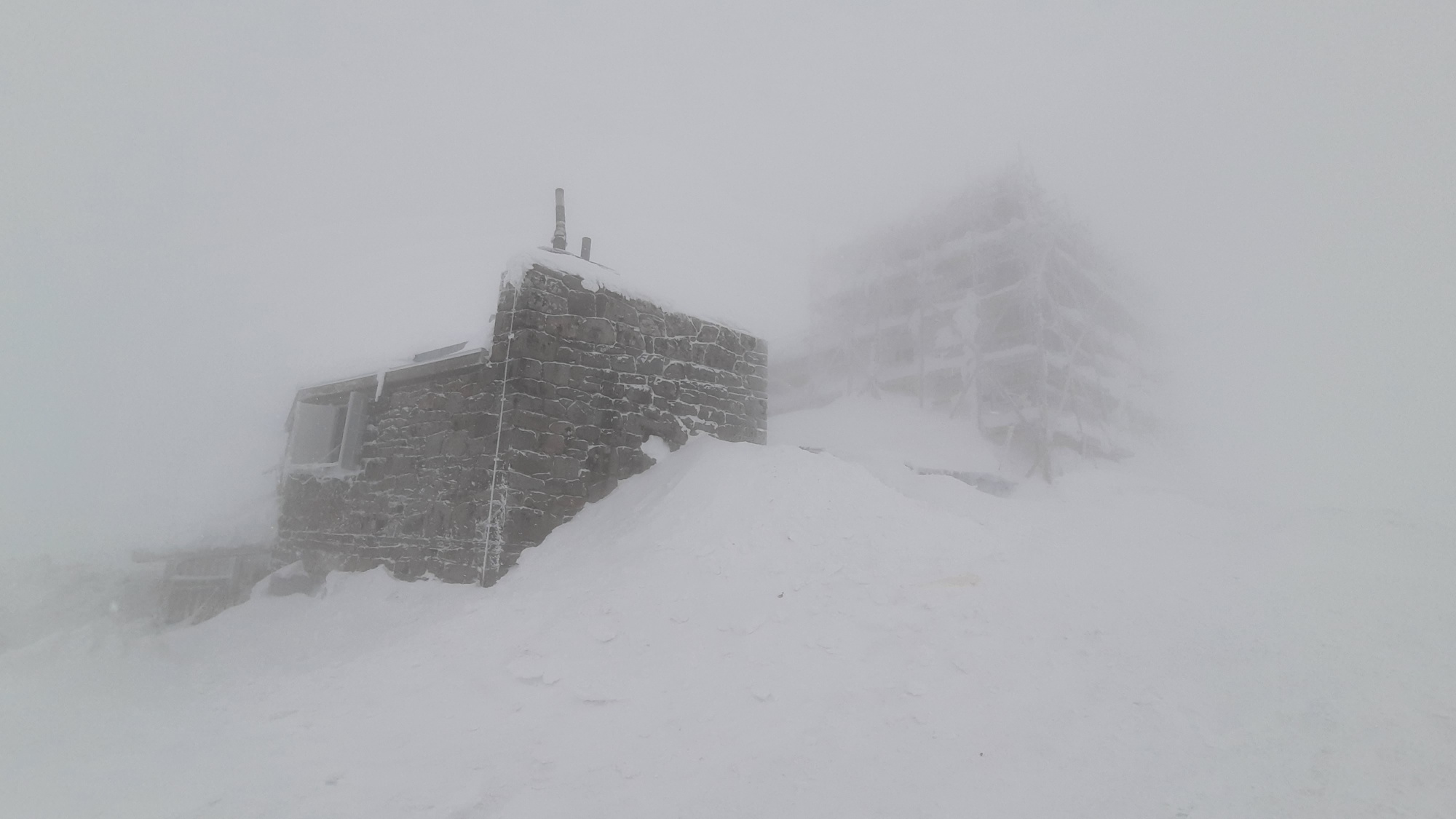 В Карпаты вернулась настоящая зима: горы засыпало снегом (фото)