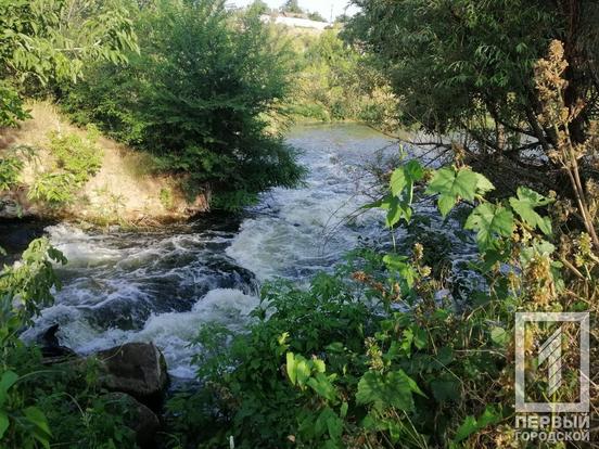 В Кривом Роге мужчина ценой своей жизни не дал внучке утонуть