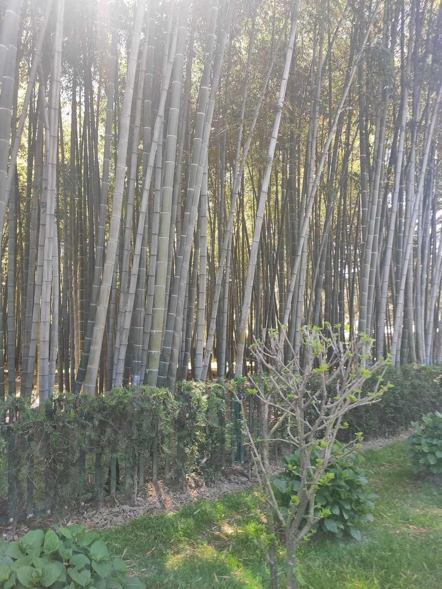 Грузія за шість днів: як все встигнути і на чому можна заощадити