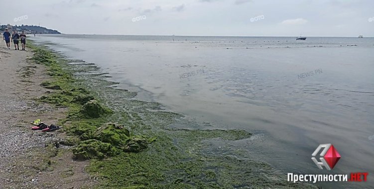 Известный украинский курорт уже три дня находится под водой: базы отдыха тоже затоплены